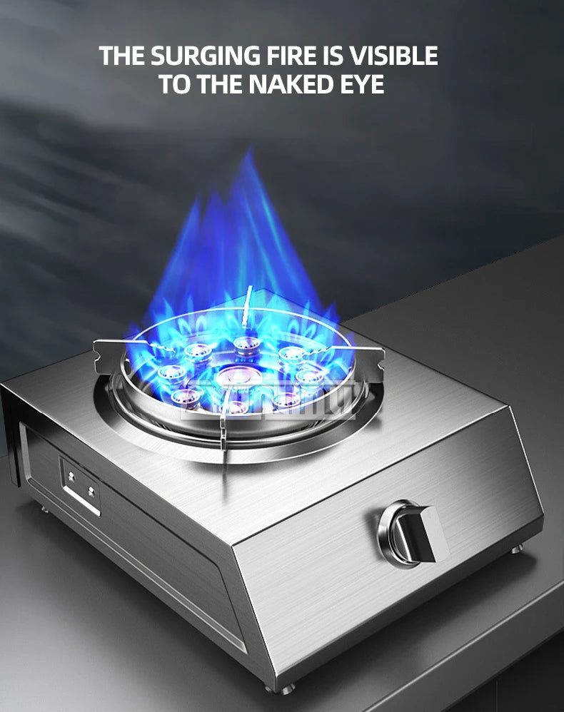 Stainless Steel Gas Cooker